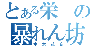 とある栄の暴れん坊（木本花音）