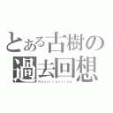 とある古樹の過去回想（Ｒｅｃｏｌｌｅｃｔｉｏｎ）