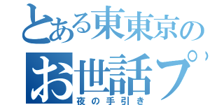 とある東東京のお世話プロジェクト（夜の手引き）