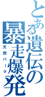 とある遺伝の暴走爆発（天然パーマ）