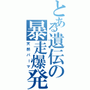 とある遺伝の暴走爆発（天然パーマ）