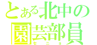 とある北中の園芸部員（セニョ）