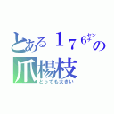 とある１７６㌢の爪楊枝（とっても大きい）