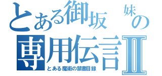 とある御坂 妹の専用伝言板Ⅱ（とある魔術の禁書目録）