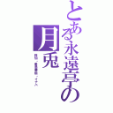 とある永遠亭の月兎（鈴仙・優曇華院・イナバ）