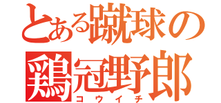 とある蹴球の鶏冠野郎（コウイチ）