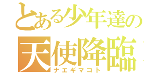 とある少年達の天使降臨（ナエギマコト）