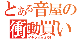 とある音屋の衝動買い（イヤッホォオウ！）