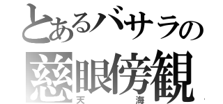 とあるバサラの慈眼傍観（天海）