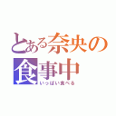 とある奈央の食事中（いっぱい食べる）