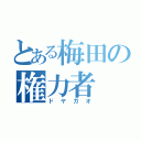 とある梅田の権力者（ドヤガオ）