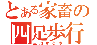 とある家畜の四足歩行（三池ゆうや）