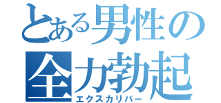 とある男性の全力勃起（エクスカリバー）