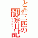 とある三匹の観察日記（マインクラフト）