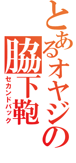 とあるオヤジの脇下鞄（セカンドバック）