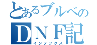 とあるブルベのＤＮＦ記録（インデックス）