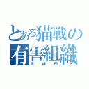 とある猫戦の有害組織（夜神団）