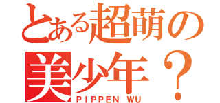 とある超萌の美少年？？（ＰＩＰＰＥＮ ＷＵ）