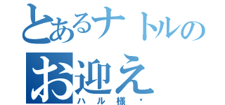 とあるナトルのお迎え（ハル様〜）