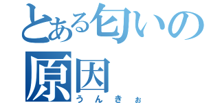 とある匂いの原因（うんきぉ）