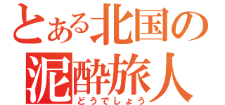 とある北国の泥酔旅人（どうでしょう）