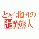 とある北国の泥酔旅人（どうでしょう）