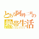 とある阿吽二組の熱帯生活（トロピクラフト）