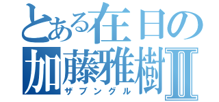 とある在日の加藤雅樹Ⅱ（ザブングル）