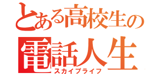 とある高校生の電話人生（スカイプライフ）