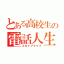 とある高校生の電話人生（スカイプライフ）