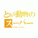 とある動物のスーパー戦隊（イエローライオン）