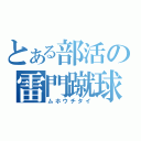 とある部活の雷門蹴球（ムホウチタイ）