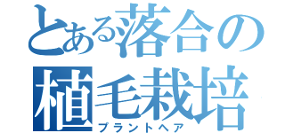 とある落合の植毛栽培（プラントヘア）