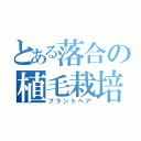 とある落合の植毛栽培（プラントヘア）