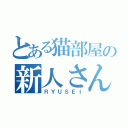 とある猫部屋の新人さん（ＲＹＵＳＥＩ）