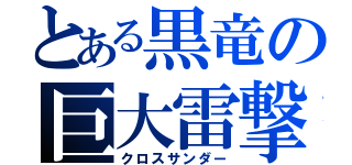 とある黒竜の巨大雷撃（クロスサンダー）