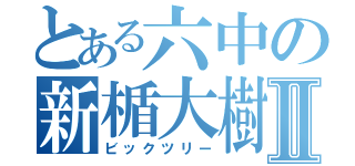 とある六中の新楯大樹Ⅱ（ビックツリー）