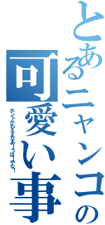 とあるニャンコの可愛い事情（ホントかわええなあーうはーやな！）