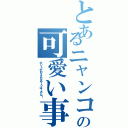 とあるニャンコの可愛い事情（ホントかわええなあーうはーやな！）