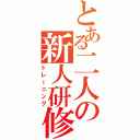 とある二人の新人研修（トレーニング）