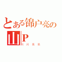 とある锦户亮の山Ｐ（闪闪亮亮）