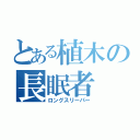 とある植木の長眠者（ロングスリーパー）