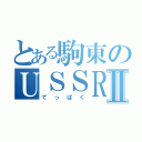 とある駒東のＵＳＳＲズⅡ（てっぱく）