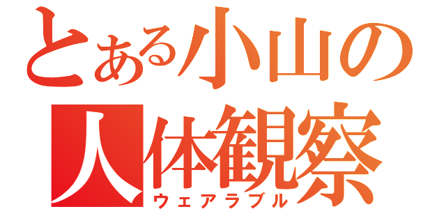 とある小山の人体観察（ウェアラブル）