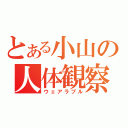 とある小山の人体観察（ウェアラブル）