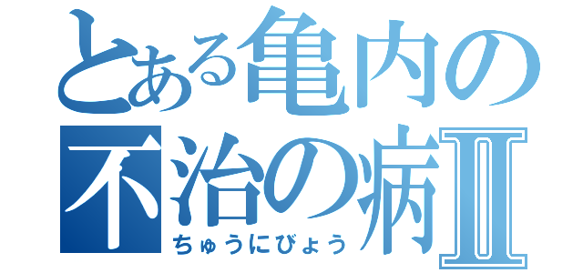 とある亀内の不治の病Ⅱ（ちゅうにびょう）