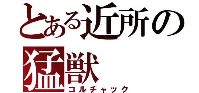 とある近所の猛獣（コルチャック）