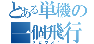 とある単機の一個飛行隊（メビウス１）