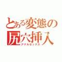 とある変態の尻穴挿入（アナルセックス）