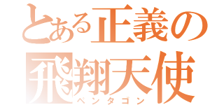 とある正義の飛翔天使（ペンタゴン）